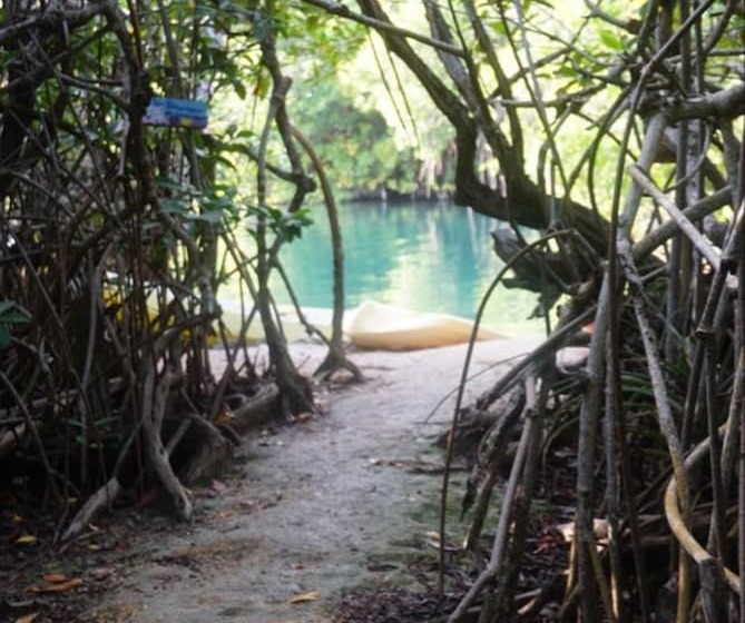 Hotelli Yaxchen Tulum Cabanas & Cenote