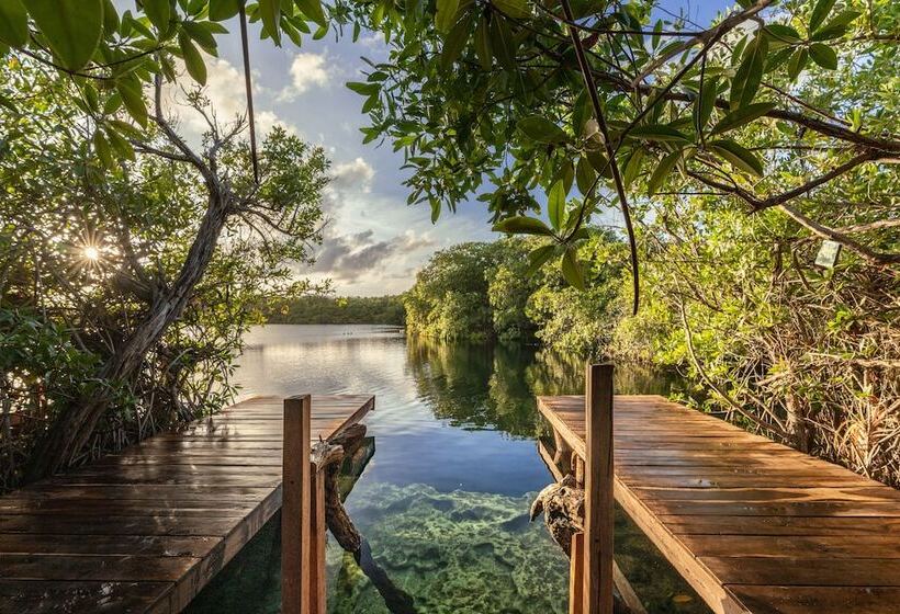 Hotelli Yaxchen Tulum Cabanas & Cenote