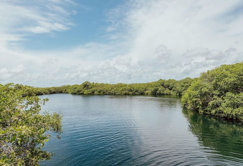 Hotelli Yaxchen Tulum Cabanas & Cenote