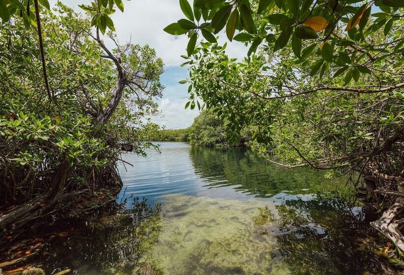 Hotelli Yaxchen Tulum Cabanas & Cenote