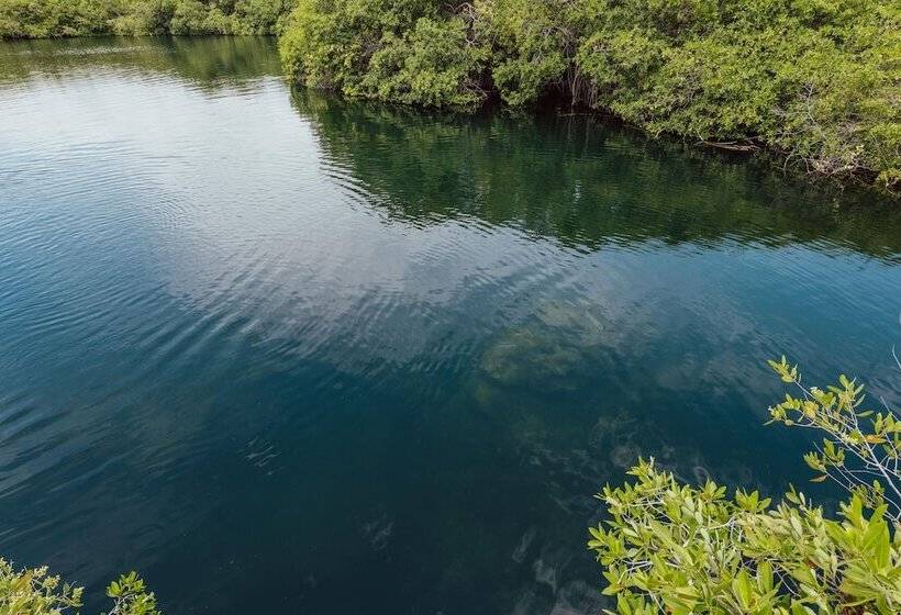 Hotelli Yaxchen Tulum Cabanas & Cenote