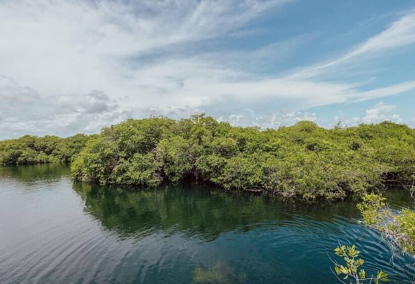 Hotelli Yaxchen Tulum Cabanas & Cenote