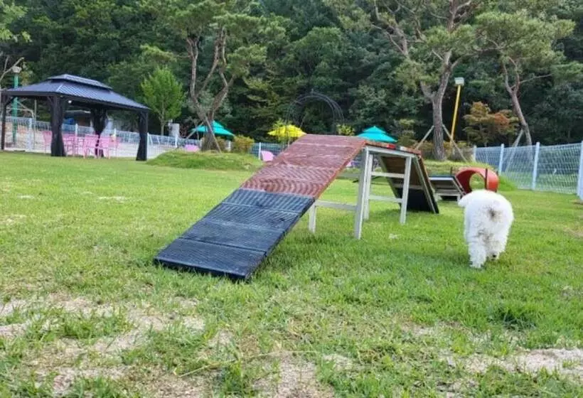 Muju Inca Dog Pension