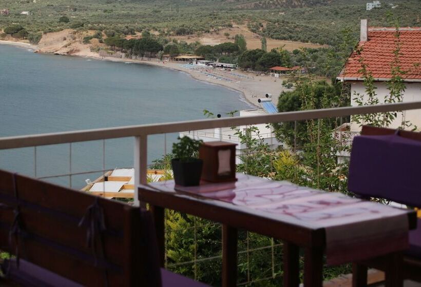 Nassos Butik Otel Ve Restaurant