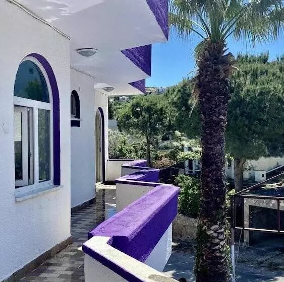 Nassos Butik Otel Ve Restaurant