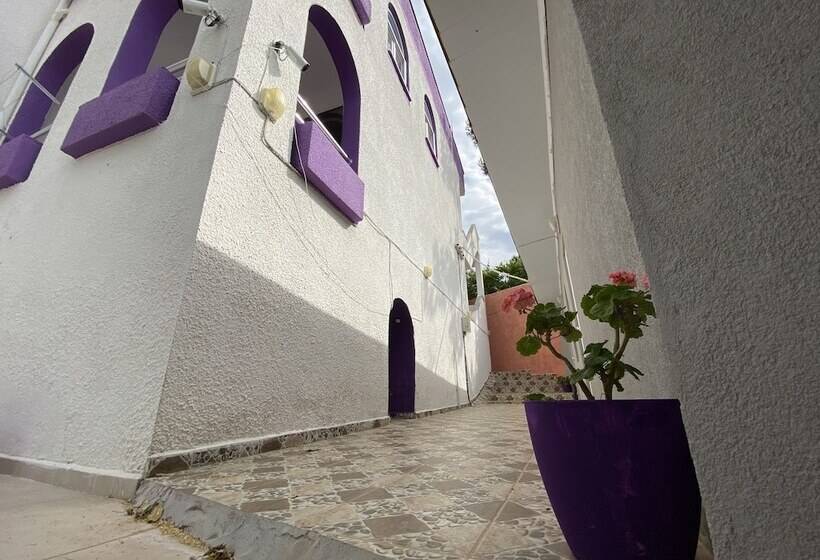 Nassos Butik Otel Ve Restaurant