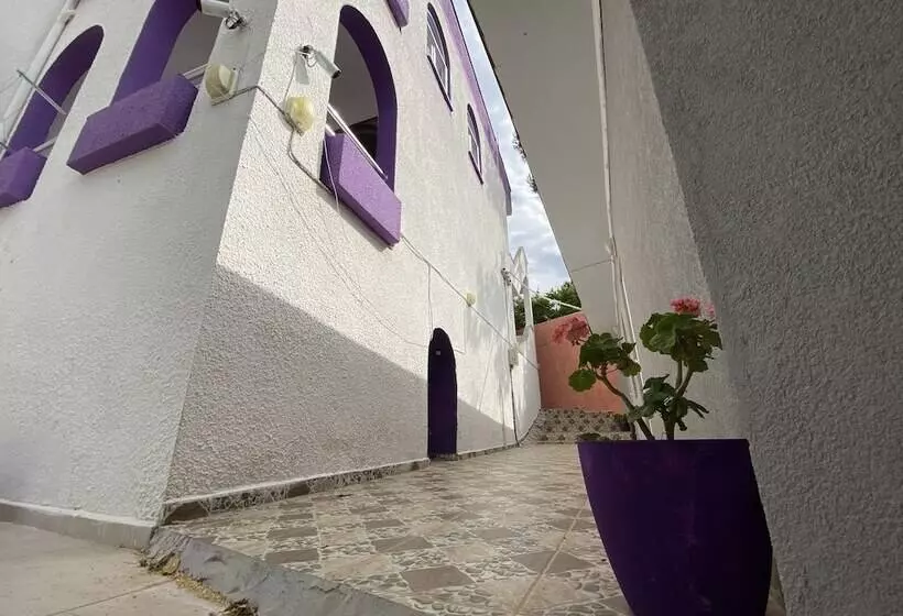 Nassos Butik Otel Ve Restaurant