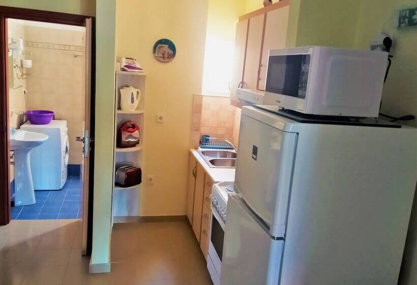 Пансион Alkioni City Apartments