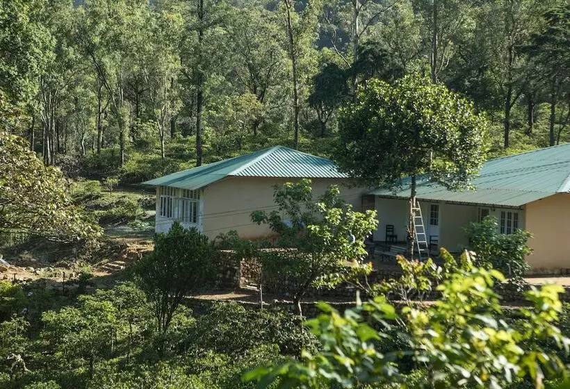 Majatalo Mistly Plantation Bungalow