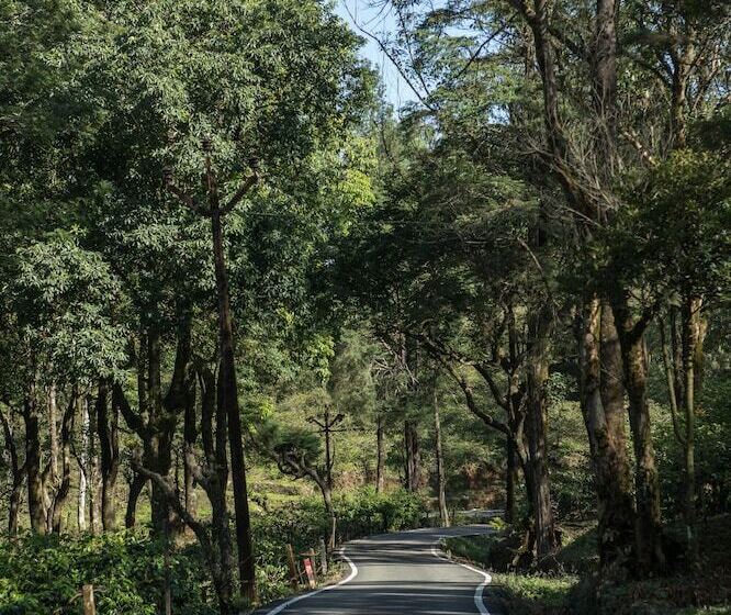 Pensjonat Mistly Plantation Bungalow