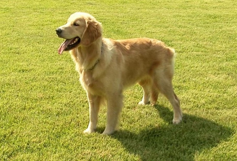 Pocheon Fine Bell Pension