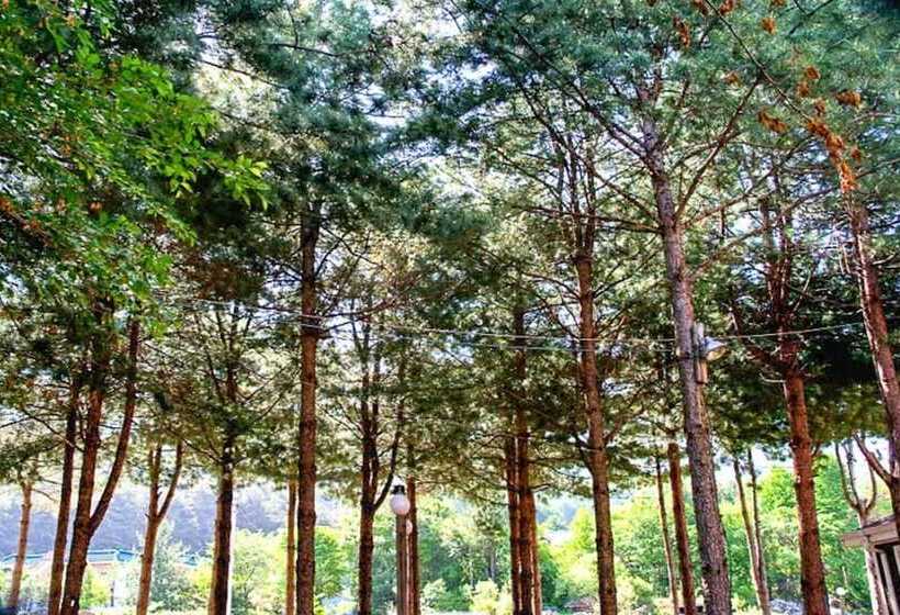 Pocheon Fine Bell Pension