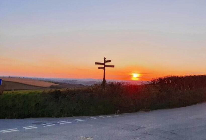 住宿加早餐  Moorview House