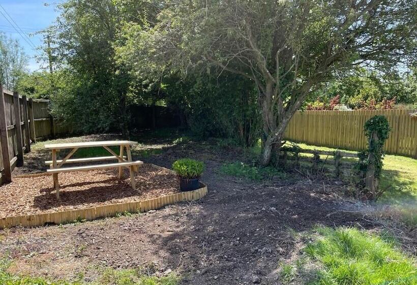 住宿加早餐  Moorview House