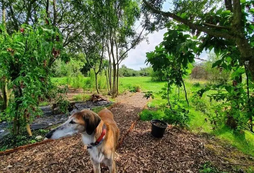 تختخواب و صبحانه Moorview House