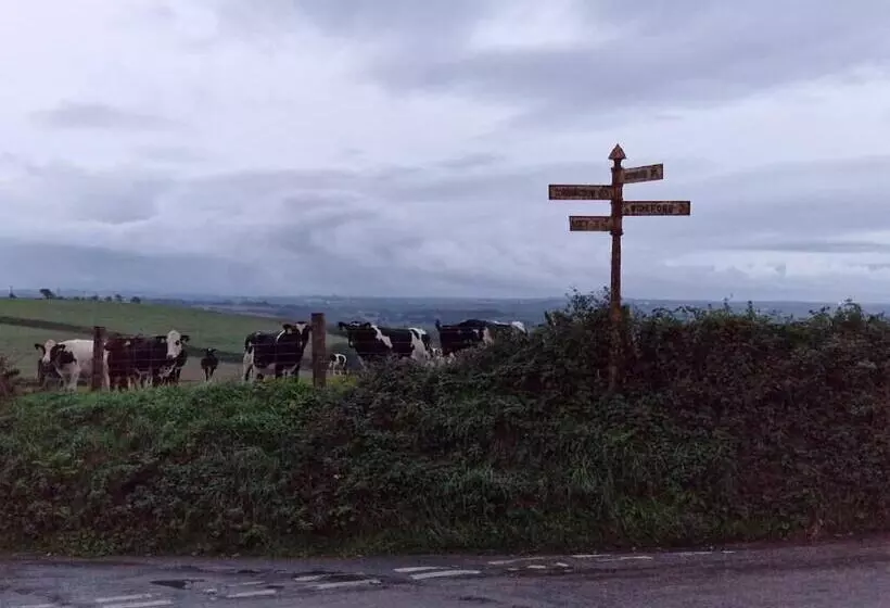 تختخواب و صبحانه Moorview House