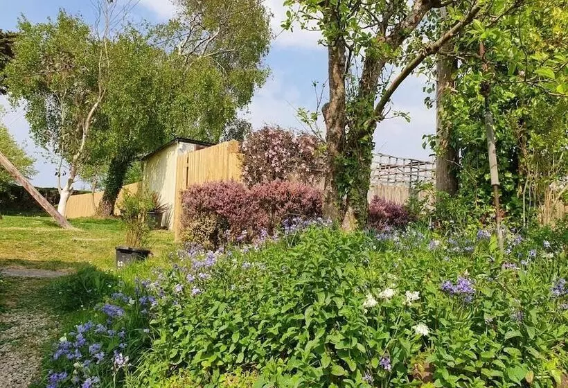 تختخواب و صبحانه Moorview House