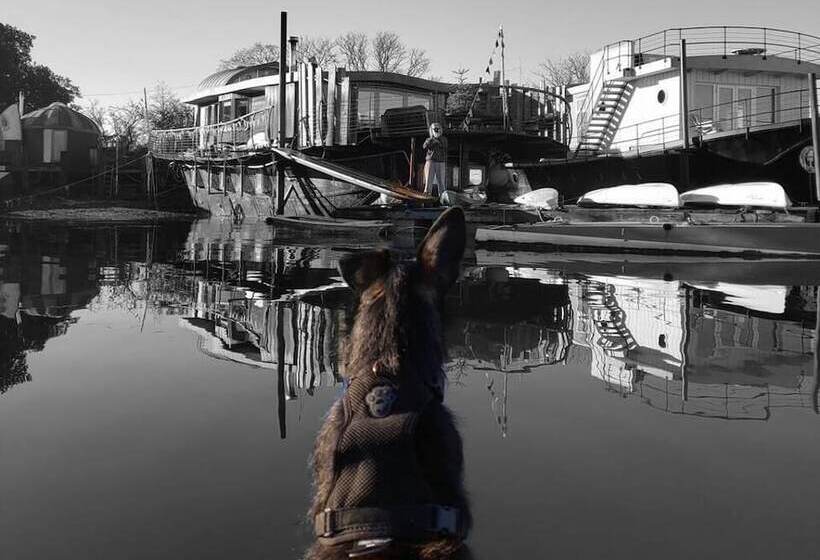 Bembridge Harbour Yurt   Log Burner   Wifi