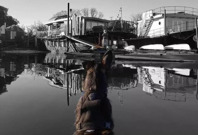 Bembridge Harbour Yurt   Log Burner   Wifi