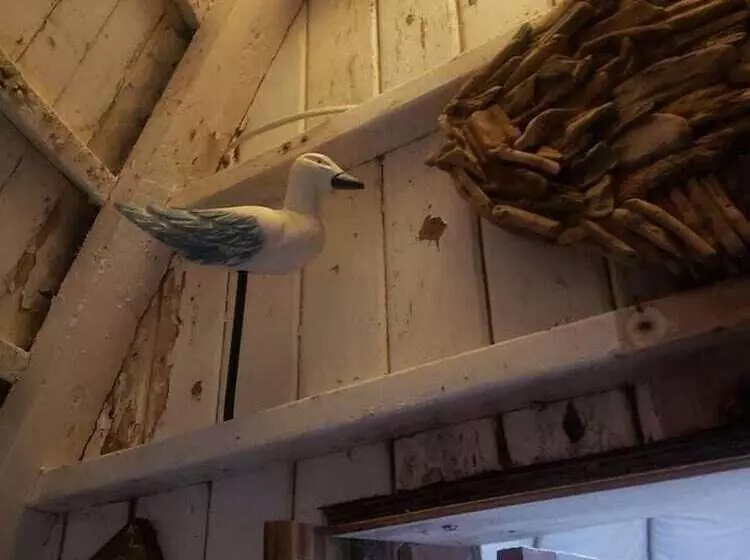 Bembridge Harbour Yurt   Log Burner   Wifi