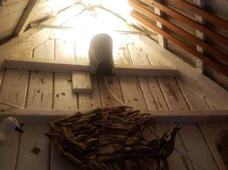 Bembridge Harbour Yurt   Log Burner   Wifi