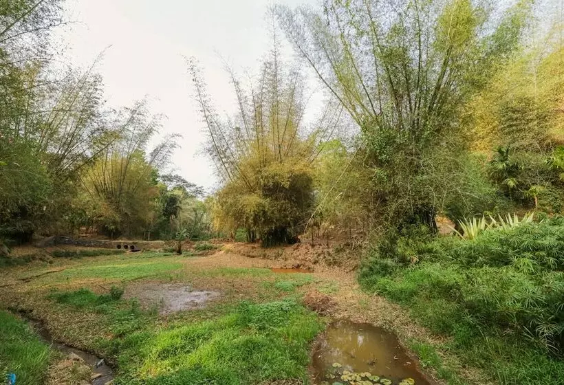 Hotelli Havon Plantation Resort