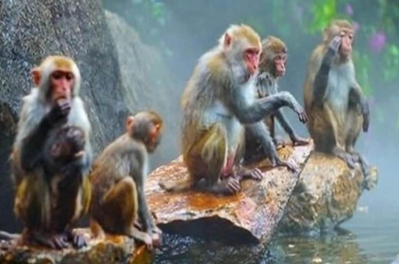 Hotel Hyatt Regency Hainan Ocean Paradise Resort