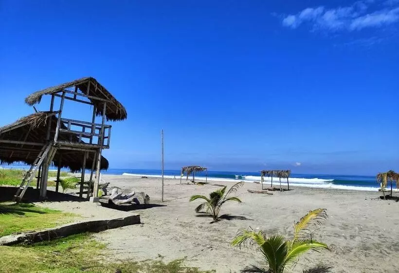 ホテル Punta Azul