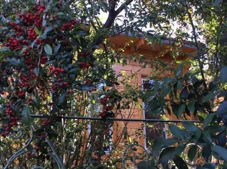 La Cabane Romantique Et Sa Balneotherapie