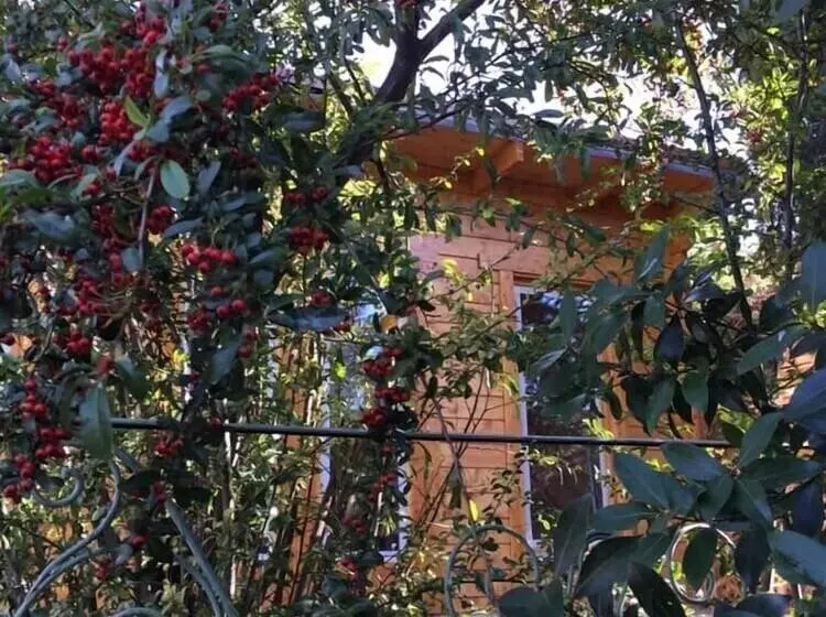 La Cabane Romantique Et Sa Balneotherapie