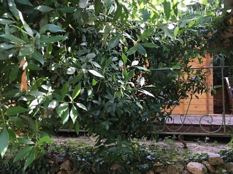 La Cabane Romantique Et Sa Balneotherapie