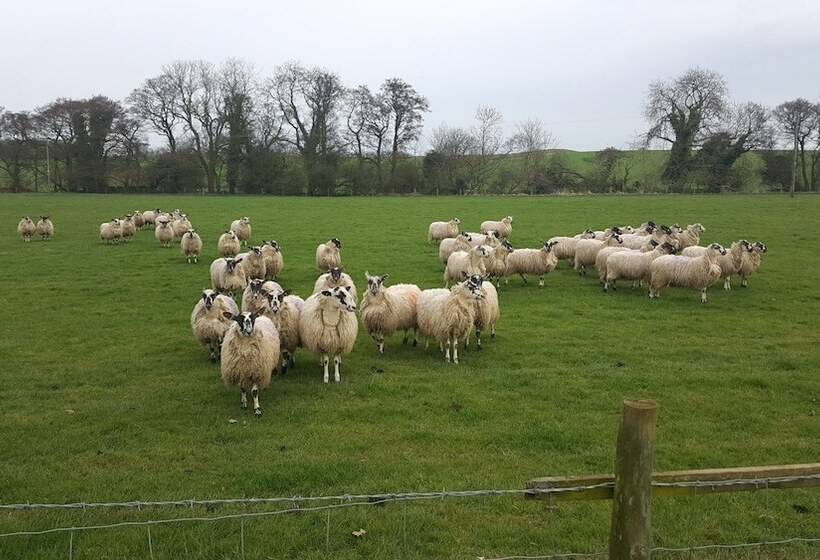 Luxury, Self Contained Country Cottage With View