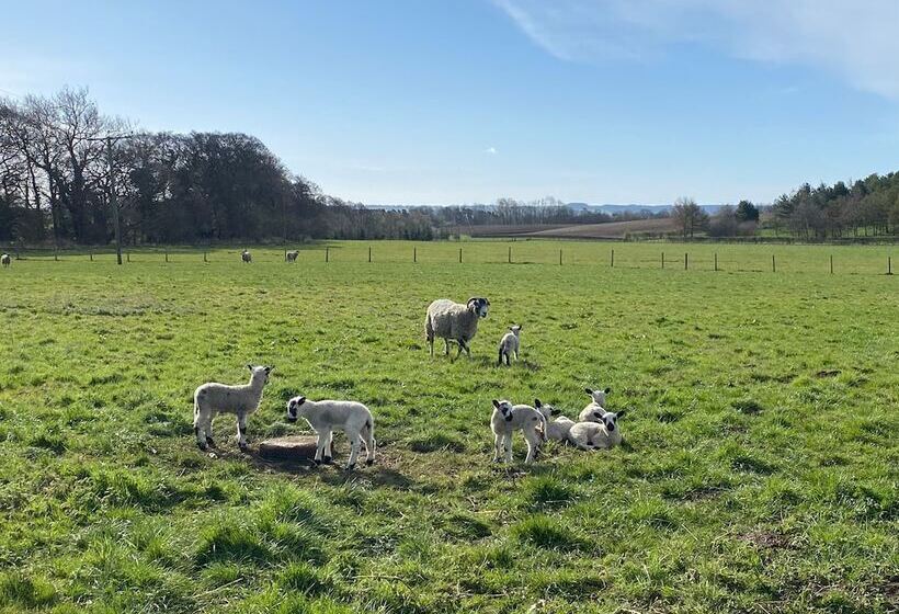 Luxury, Self Contained Country Cottage With View