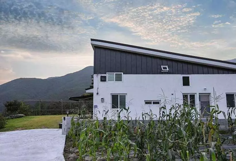 Pohang Haneulbyeoliyagi Pension
