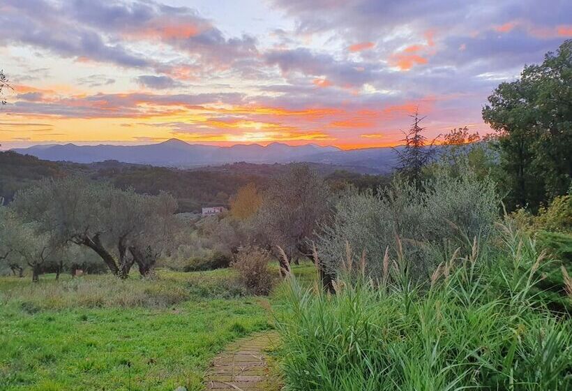 Unique Countryside Loft Room, Near Naples