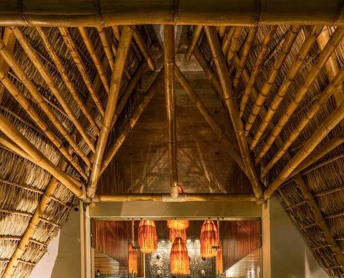 Xkan Hotel Boutique   Adults Only