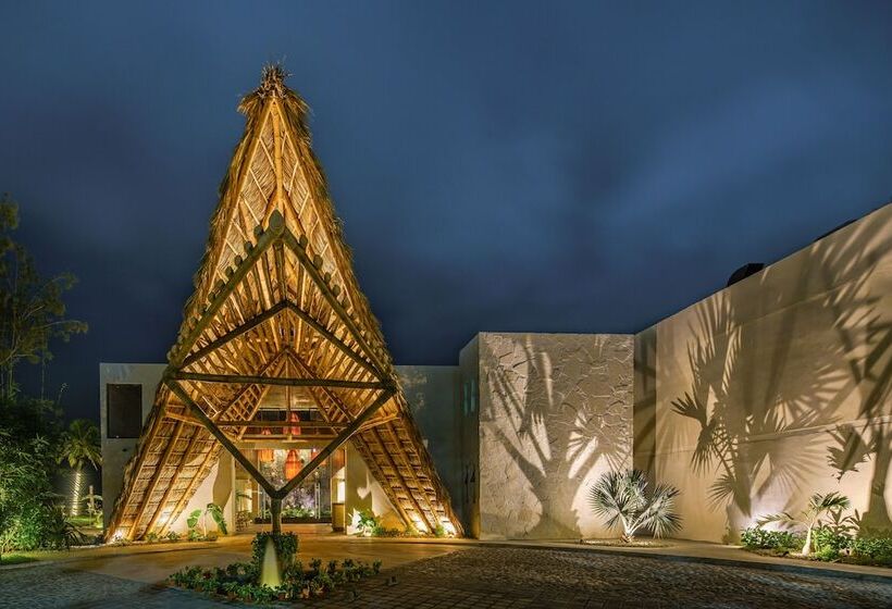 Xkan Hotel Boutique   Adults Only