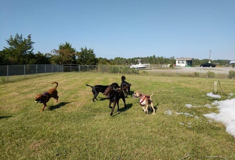 Camp Cardinal Gloucester Point