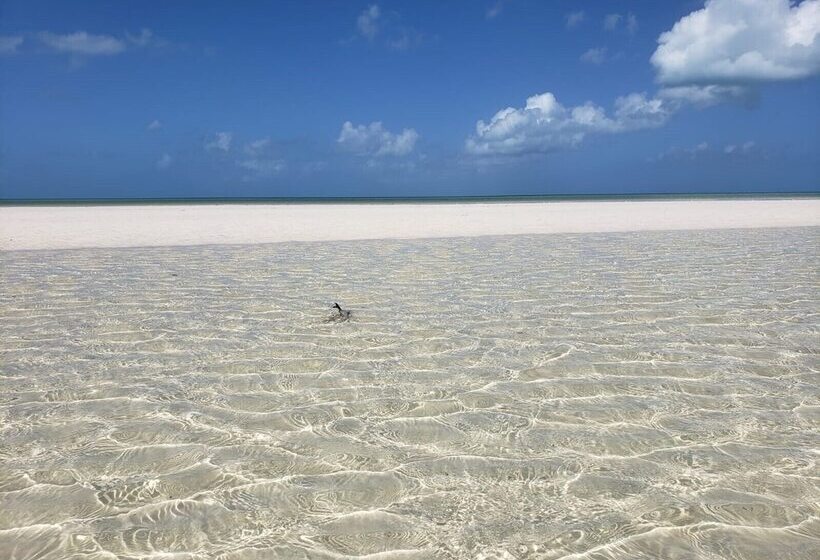 Casa Hridaya Hotel Boutique