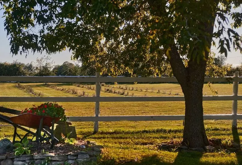 Enduring Heart Bed And Breakfast Inc