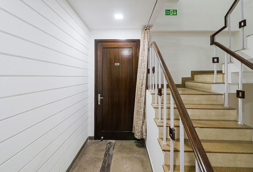 Отель Dreamz Hospitality 2