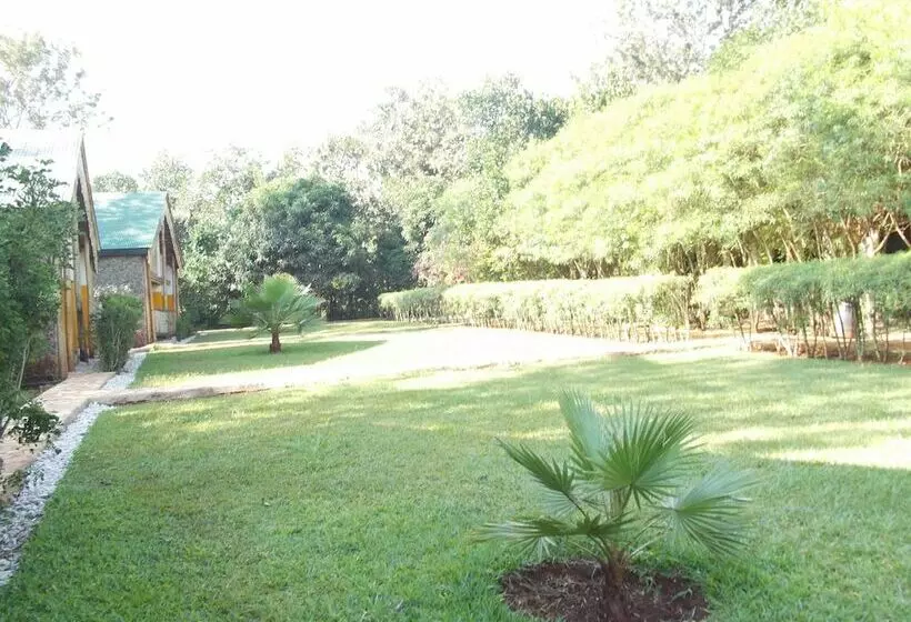 هتل Eden Rock Resort