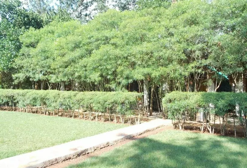 هتل Eden Rock Resort