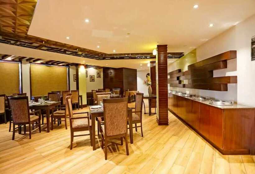 酒店 Goroomgo Mohan Palace Dalhousie