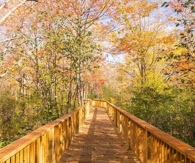 فندق Terramor Outdoor Resort