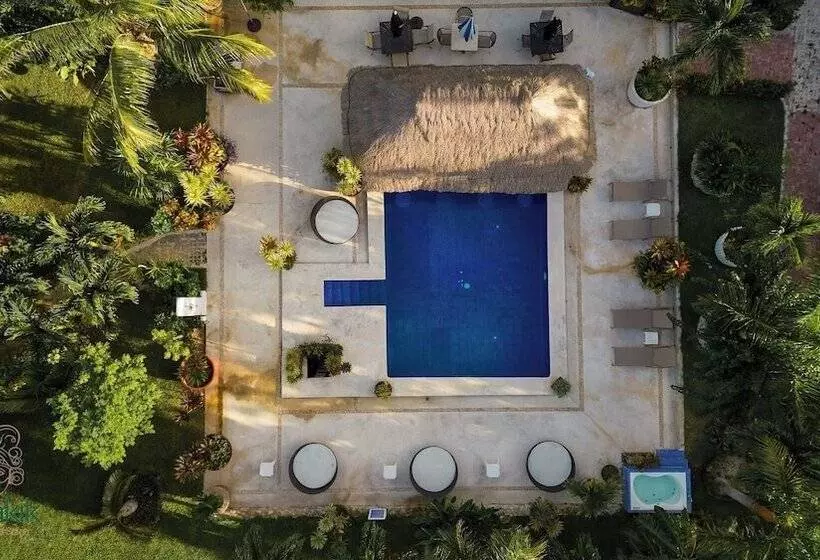 Tsaakik Jungle Hotel & Spa   Adults Only