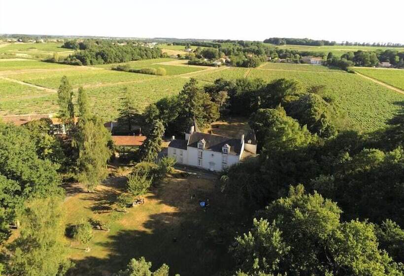 פנסיון Château Cassemichère   Gîte Et Chambre D Hôte