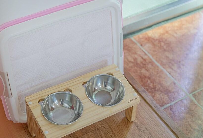 Gapyeong Himong  Aegyeon Pension