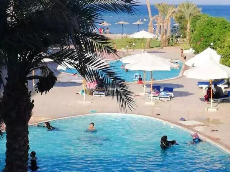 هتل Cecilia Hurghada