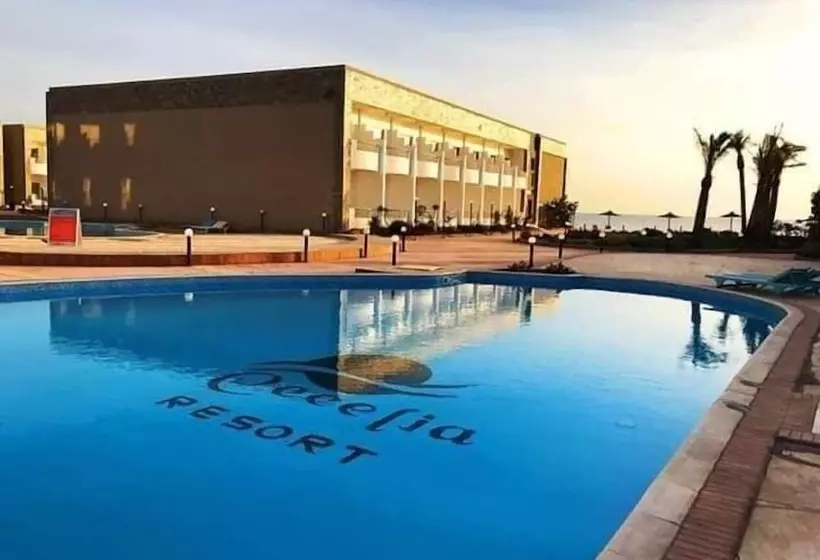 هتل Cecilia Hurghada